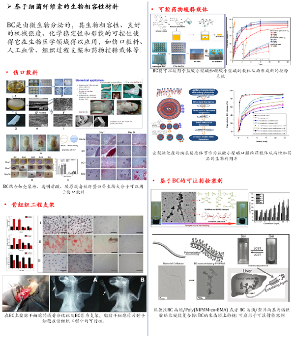 课题组研究方向