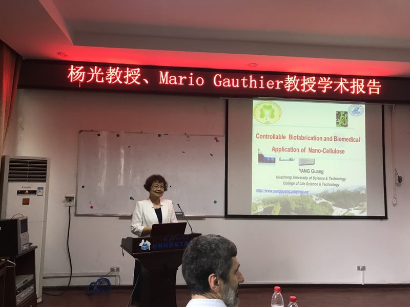 Professor Yang Guang visited the academic report of Guilin University of Technology