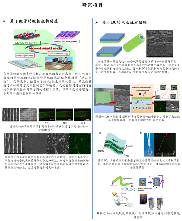 课题组研究方向